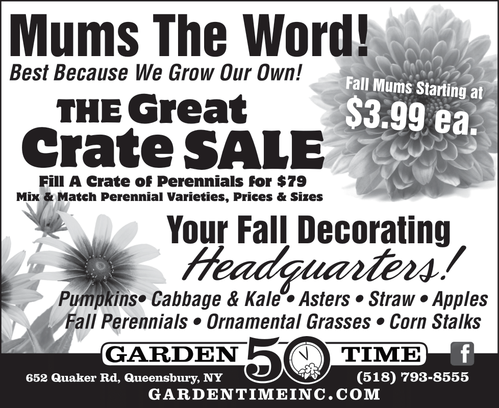 Shop in Store for our Current Specials