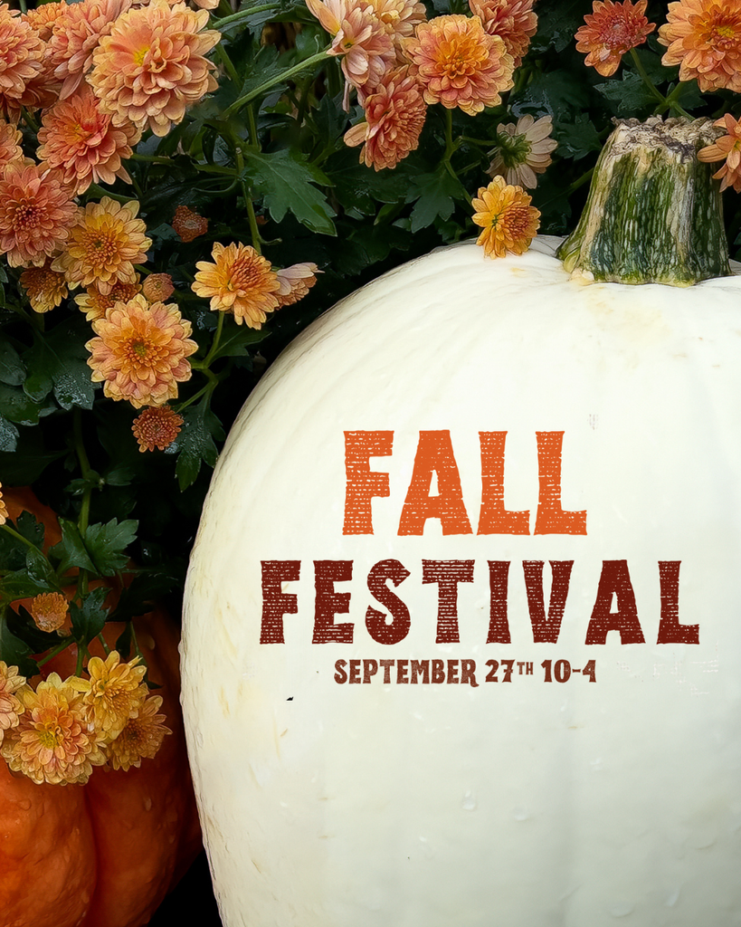 Fall Festival at Garden Time