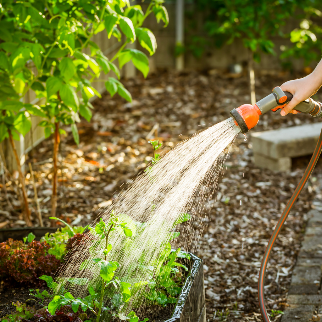 Watering the garden