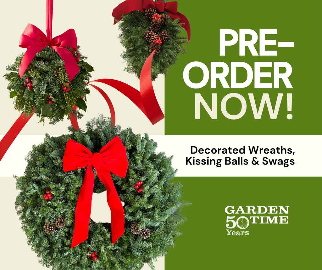 Pre-Order Your Christmas Greens!