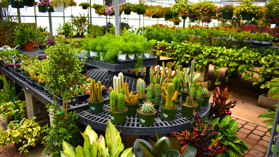 Garden Center  Garden Time