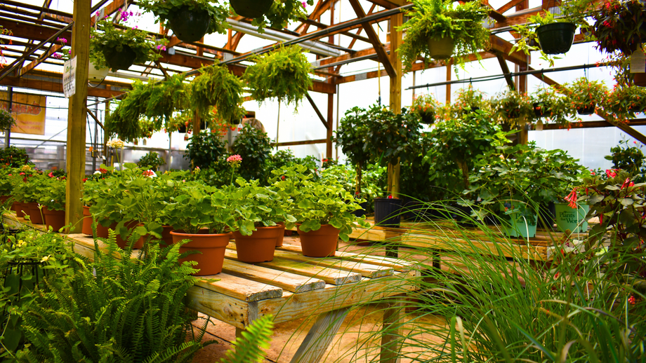 garden garden様用   ∞オーダーメイド ∞ GardenSoxx® Kit - The Best Fabric Planter For Growing – GardenSoxx