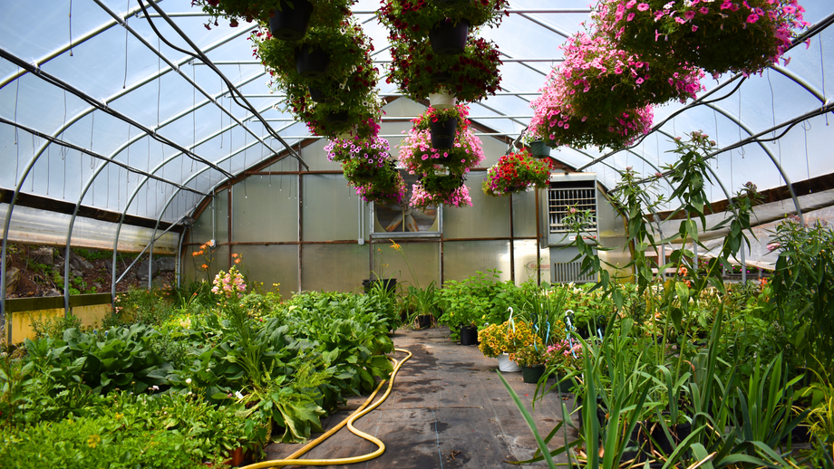 Garden Center – Garden Time
