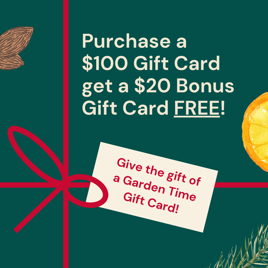 gift card special